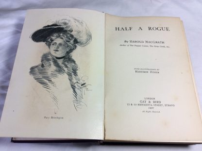 Half a Rogue - Image 2