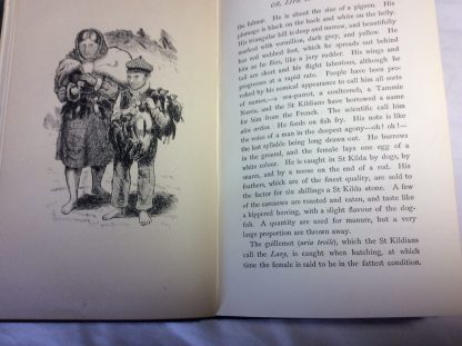 Out of the World: or Life in St. Kilda - Image 4