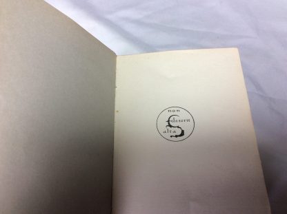 Gymnadenia - Image 3