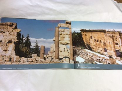 Temples en Blanc: Les Temples du Liban - Image 2