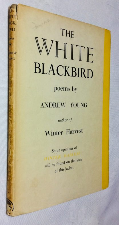 The White Blackbird