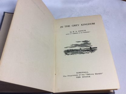 In the Grey Kingdom - Image 2