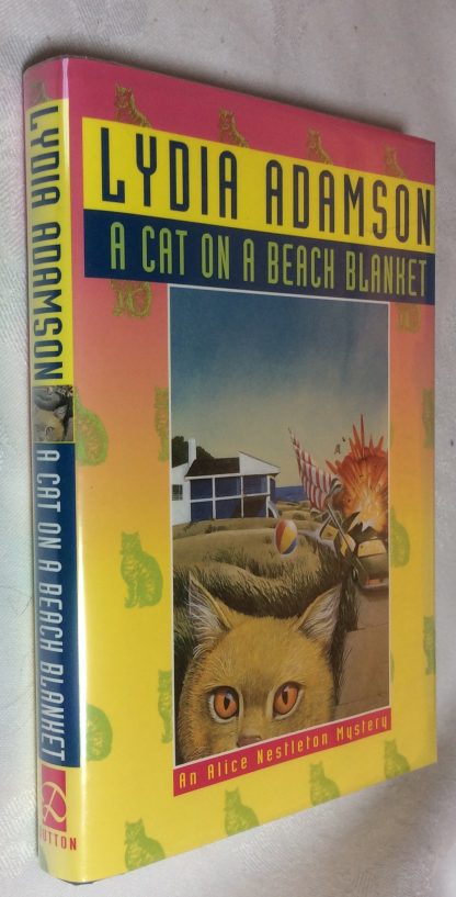A Cat on a Beach Blanket