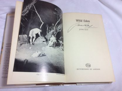 Wild Eden - Image 3