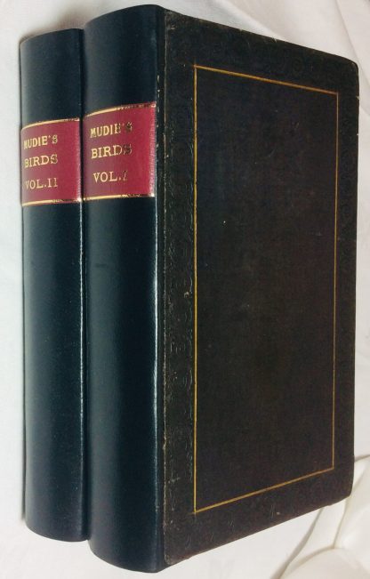 Feathered Tribes of the British Isles, 2 Volumes