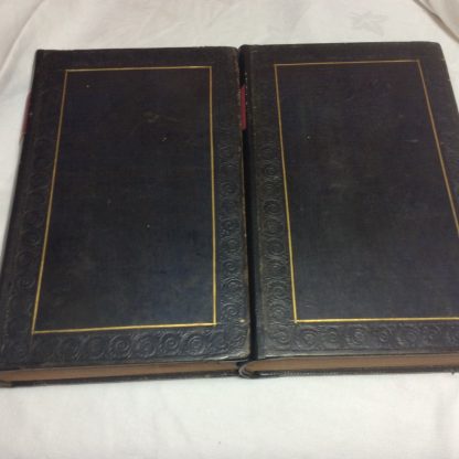 Feathered Tribes of the British Isles, 2 Volumes - Image 2