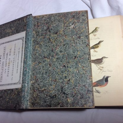 Feathered Tribes of the British Isles, 2 Volumes - Image 3