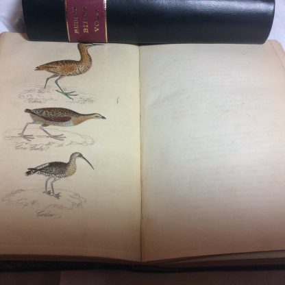 Feathered Tribes of the British Isles, 2 Volumes - Image 4