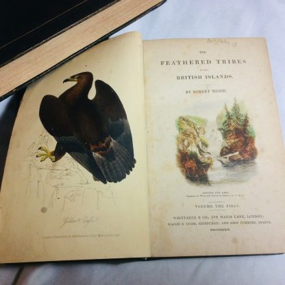 Feathered Tribes of the British Isles, 2 Volumes - Image 5