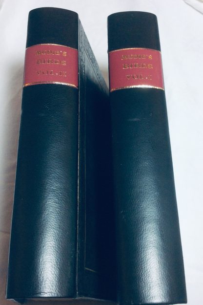 Feathered Tribes of the British Isles, 2 Volumes - Image 6