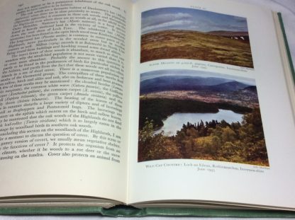 Natural History in the Highlands & Islands - Image 2