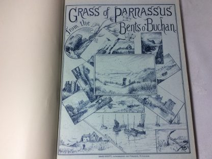 Grass of Parnassus - from The Bents o'Buchan - Image 4