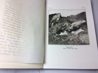 Complete History of the Echalaz Collection. - Image 4