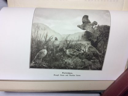 Complete History of the Echalaz Collection. - Image 5