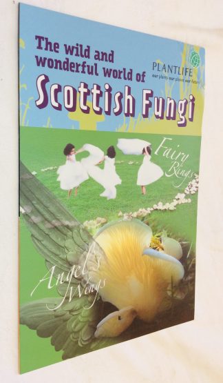 The Wild and Wonderful World of Scottish Fungi