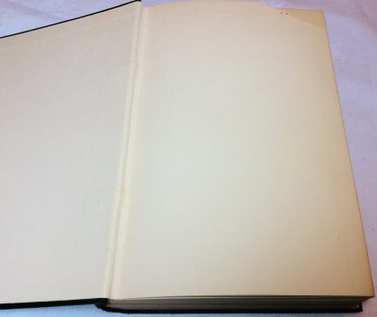 The Search - Image 2