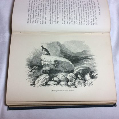 The Moor and the Loch : Containing Minute Instructions in All Highland Sports (in Two Volumes) - Image 5