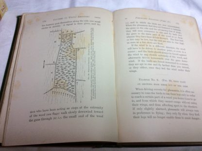 Letters to Young Shooters (second series) on The Production, Preservation, and Killing of Game, with Directions in Shooting Woodpigeons and Breaking in Retrievers - Image 5