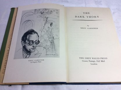 The Dark Thorn - Image 2
