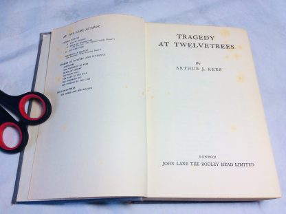 Tragedy at Twelvetrees - Image 2