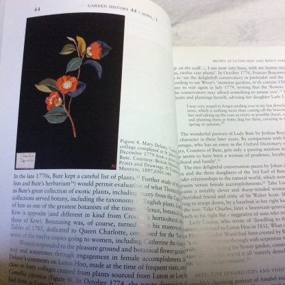 Capability Brown: Perception and Response in a Global Context - Image 3