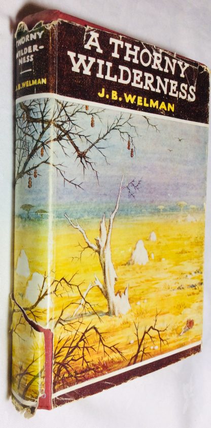 A Thorny Wilderness