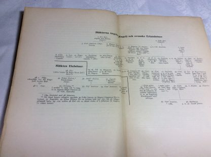 Personhistorisk tidskrift. Tjugonde årgången 1918-1919. Utgiven av Personhistoriska samfundet genom Sune Hildebrand. - Image 2