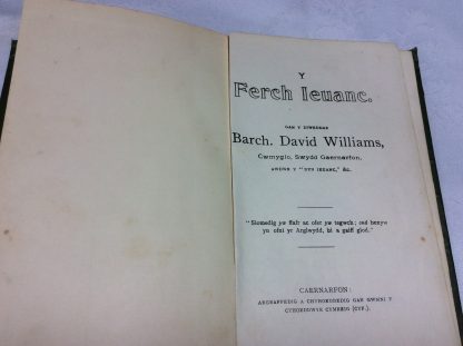 Y Ferch Ieuanc - Image 2