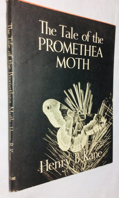 The Tale of the Promethea Moth