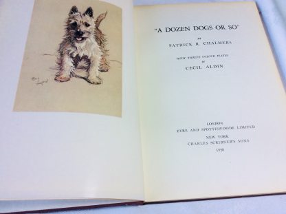 A Dozen Dogs or So - Image 4