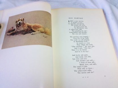 A Dozen Dogs or So - Image 3