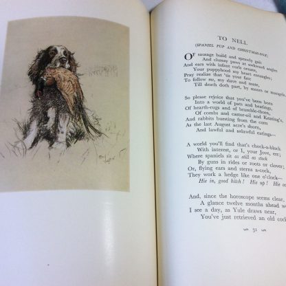 A Dozen Dogs or So - Image 2