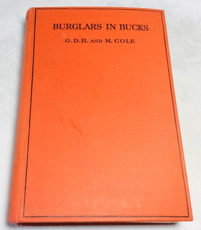 Burglars in Bucks - Image 6