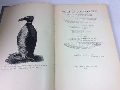 Carotid Cornucopius: The first 4 fitts making "One Quart" - Image 2