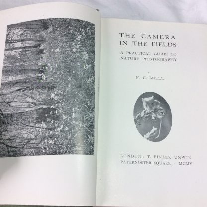 The Adventures of Cock Robin and His Mate - Image 2