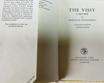 The Visit - Image 2