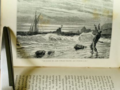 Wrecked on a Reef: or, Twenty Months Among the Auckland Isles. A True Story from the French of F.E. Raynal - Image 4