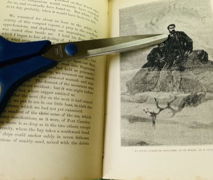 Wrecked on a Reef: or, Twenty Months Among the Auckland Isles. A True Story from the French of F.E. Raynal - Image 6