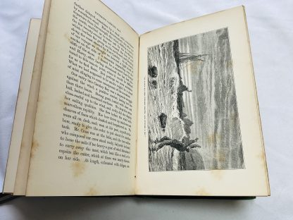 Wrecked on a Reef: or, Twenty Months Among the Auckland Isles. A True Story from the French of F.E. Raynal - Image 8