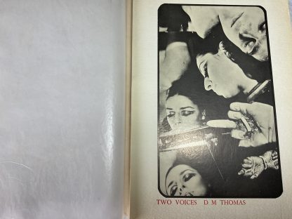 Two Voices - Image 2