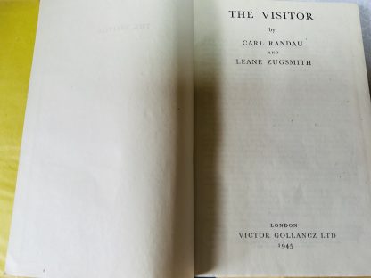 The Visitor - Image 2