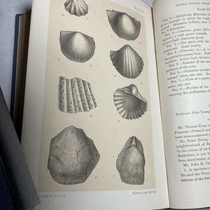 Proceedings  Of The Natural History Society Of Glasgow, 1858-1881 (5 volumes) - Image 6