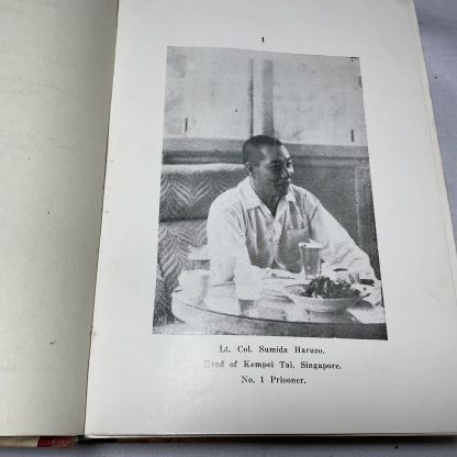 The Double Tenth Trial - Image 5