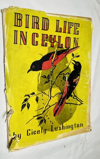 Bird Life in Ceylon
