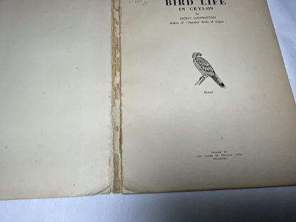 Bird Life in Ceylon - Image 2