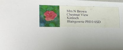 The Burglar on the Prowl: A Bernie Rhodenbarr Mystery - Image 2