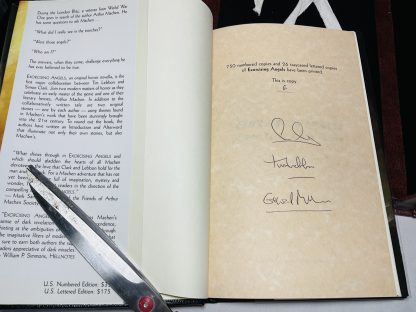 Exorcising Angels: Signed, Lettered 1st edition (1 of 26) - Image 2