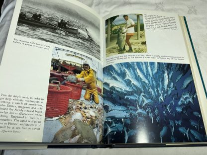 The Last of the Hunter Gatherers: Fisheries Crisis at Sea - Image 2