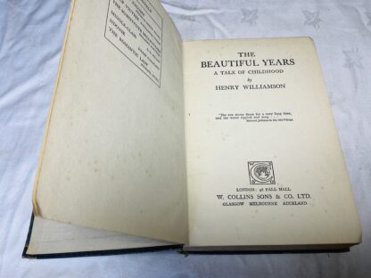 The Beautiful Years [A Tale of Childhood] - Image 2
