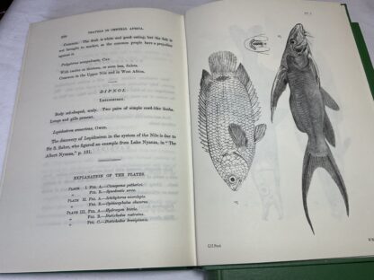 Travels in Central Africa and Explorations of the Western Nile Tributaries [ two Volume set] - Image 4